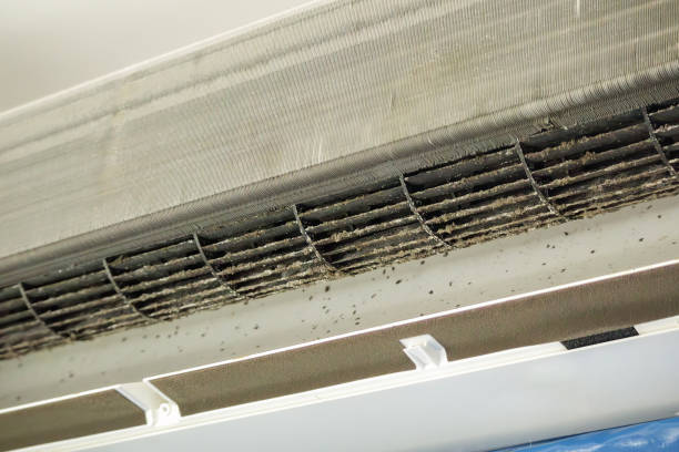 Best Indoor Air Quality Testing in Clawson, MI